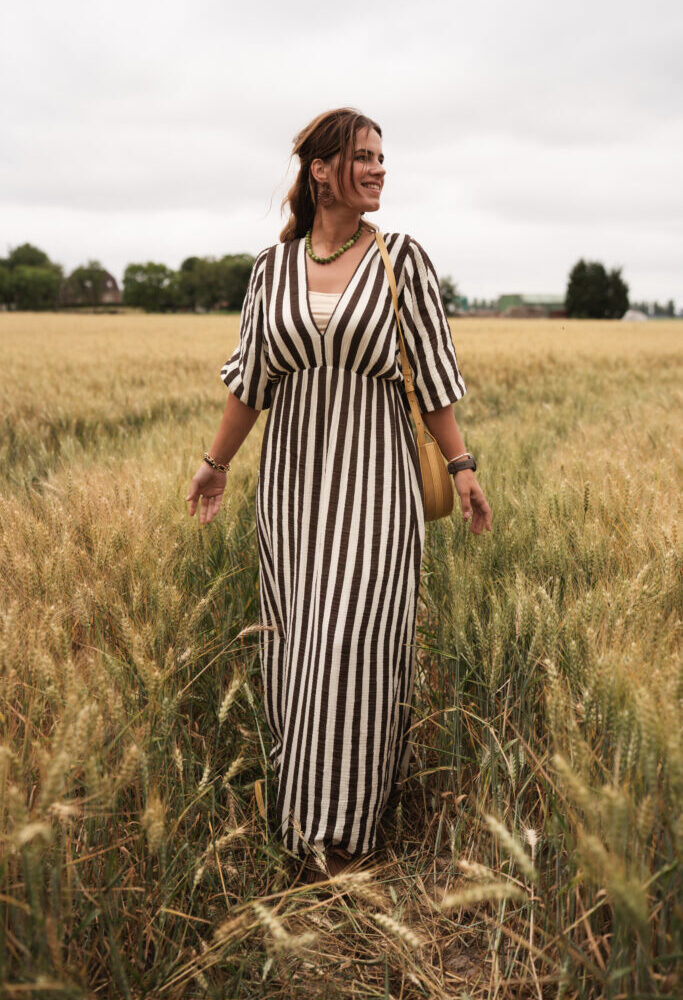 jummel stripe dress brown