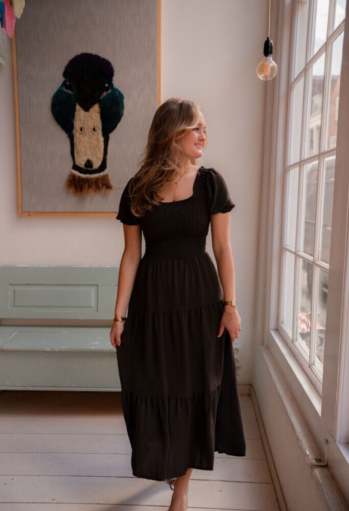 saar dress new brown bow