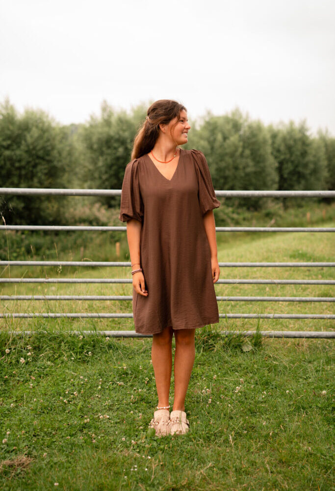 3844-1 azzurro dress fav benthe brown