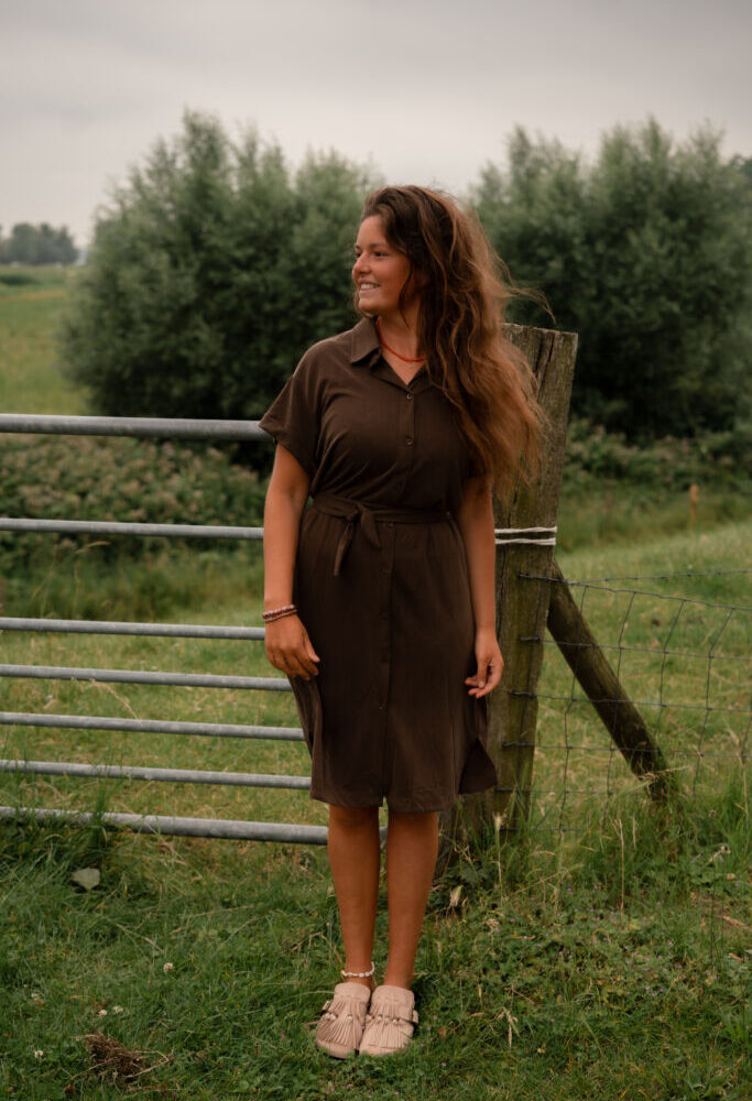 95261 anne dress brown